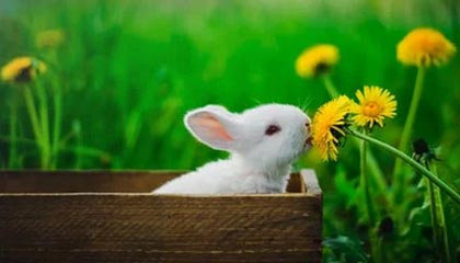 男子重伤女友后赶到长沙杀了前领导，湖南一男子3天连伤5人被执行死刑