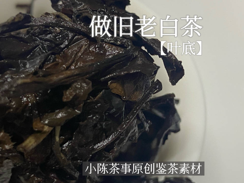 闷泡茶、异味茶、做旧茶，白茶圈公认的3大劣质茶，早知道早避坑