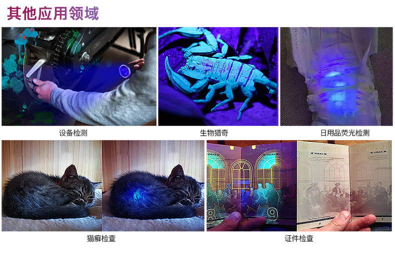 紫外线手电能打透的石头是玉吗？