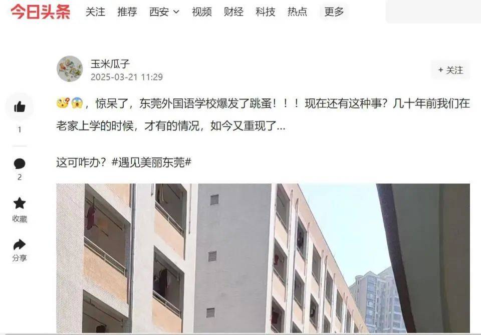 “什么年代还有这么多跳蚤？”东莞6千人学校跳蚤肆虐，全校放假消杀