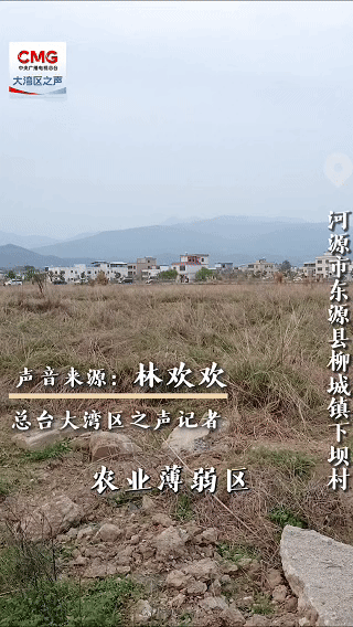 勇立潮头大湾区丨“智”耕乡野！下坝育良田 产良方