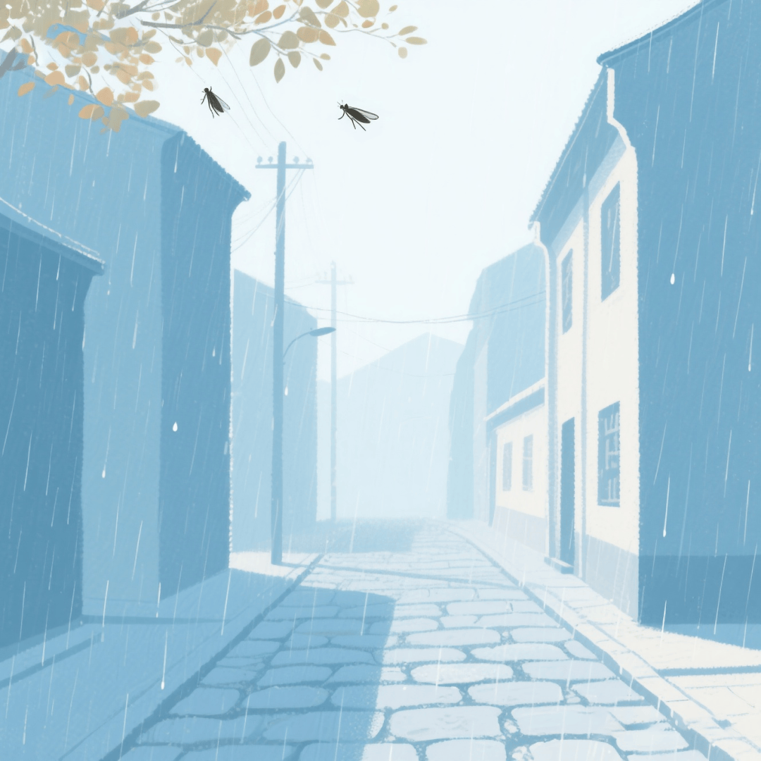 今日霜降