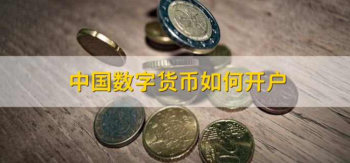 数字货币是啥(数字货币是啥概念)