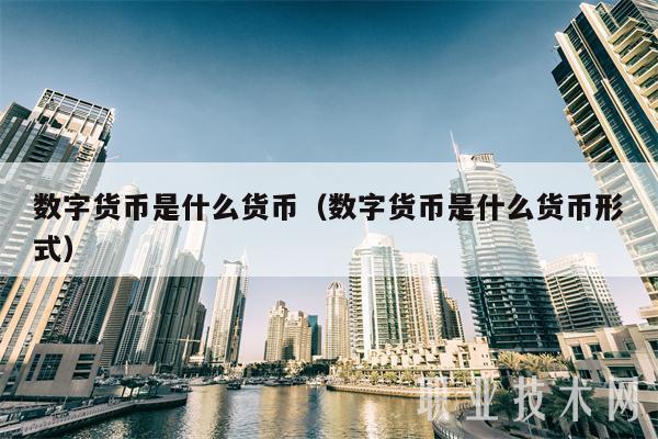 数字货币是啥(数字货币是啥概念)