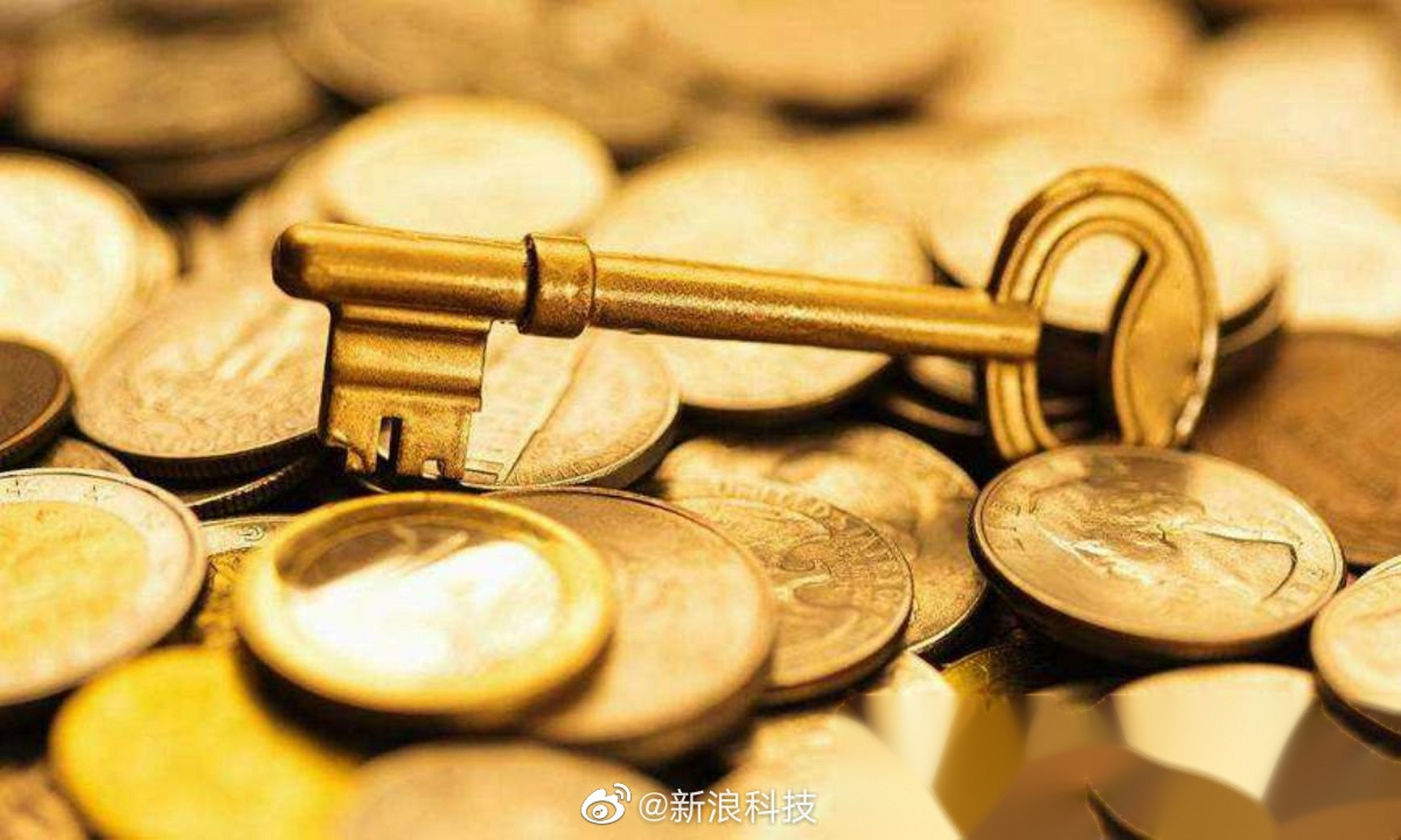 立陶宛货币(立陶宛货币贬值)
