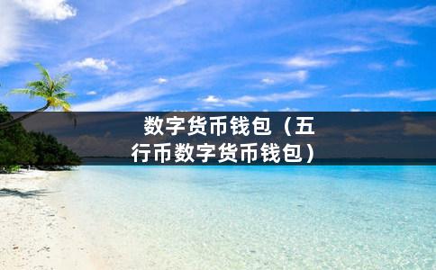 什么数字货币(什么是数字货币?怎么使用?)