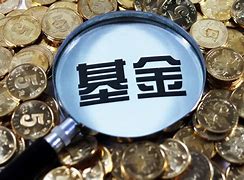 货币基金基金(货币基金基金份额怎么算)