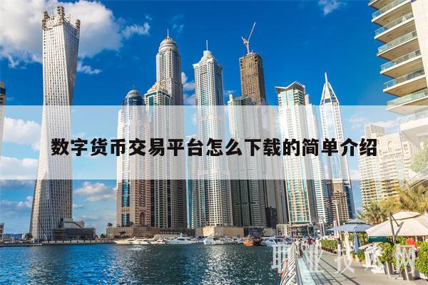 数字货币平台(数字货币平台重要吗)