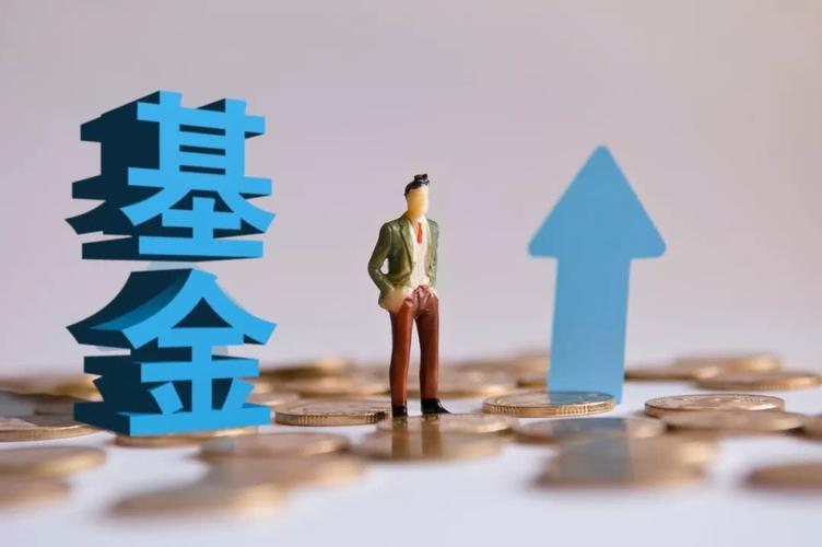 货币基金基金(货币基金基金经理年薪)