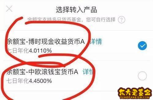 中欧滚钱宝货币a(中欧滚钱宝货币a怎么提现)