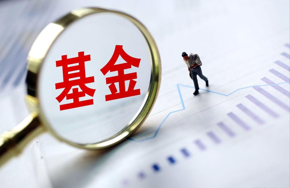 货币型基金(货币型基金是什么意思)