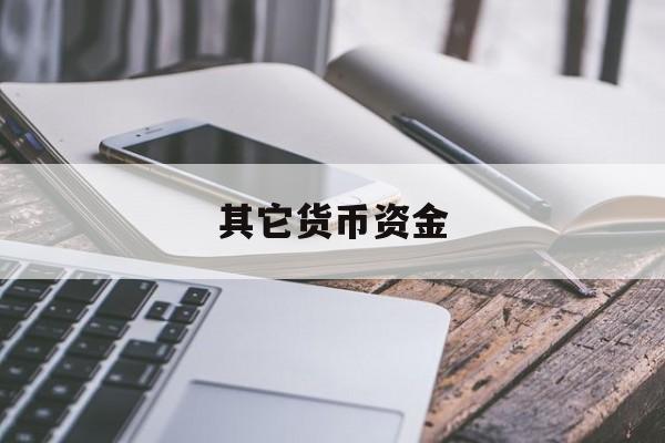 其它货币资金(其他货币资金外埠存款是什么意思)